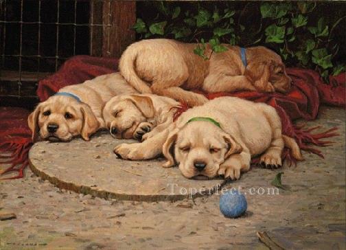 ami0007D13 animal dogs Oil Paintings